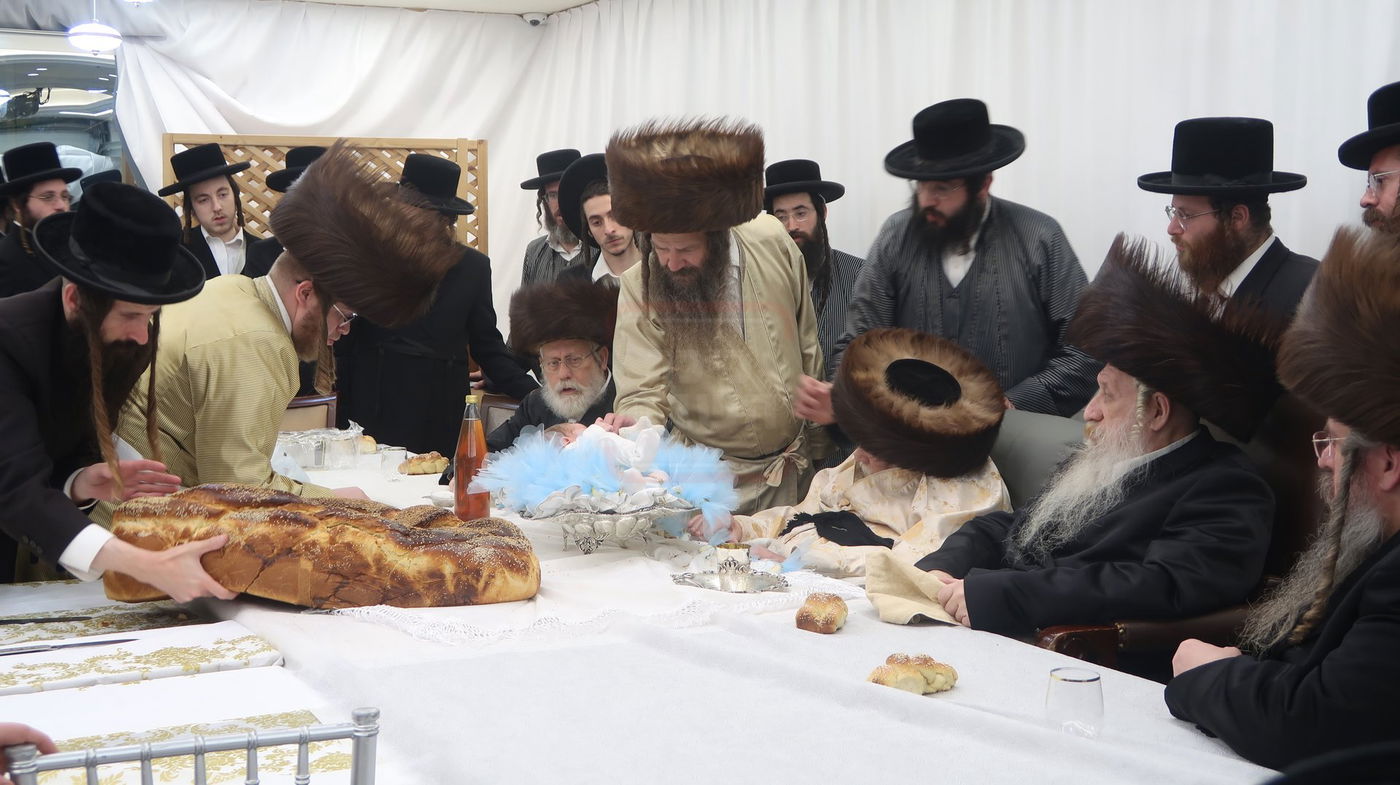 שמחת פדיון הבן בחצרות תולדות אברהם יצחק - טשארנאביל - קאלוב