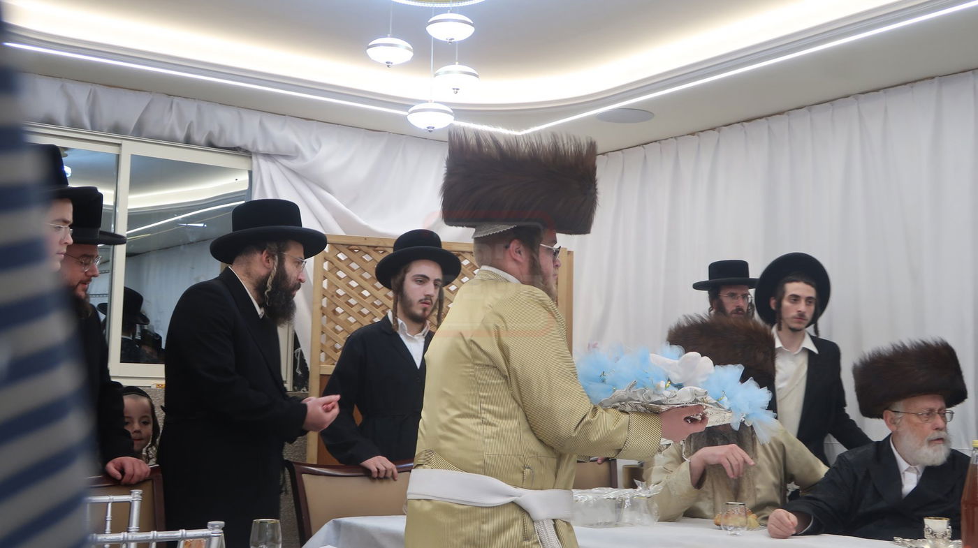 שמחת פדיון הבן בחצרות תולדות אברהם יצחק - טשארנאביל - קאלוב