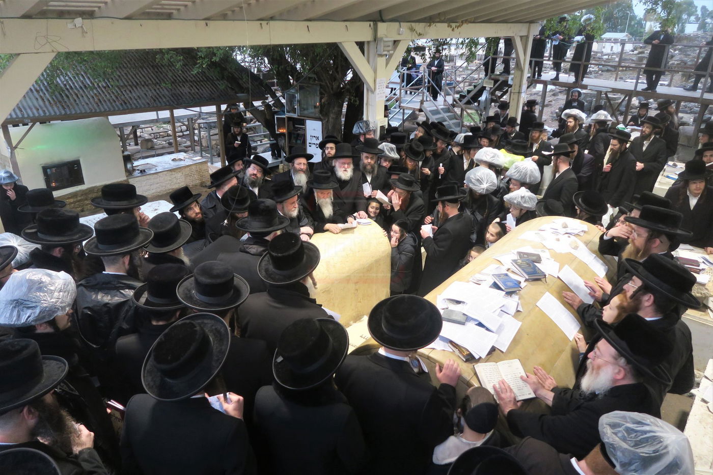 האדמו"ר מפינסק קרלין בטבריה