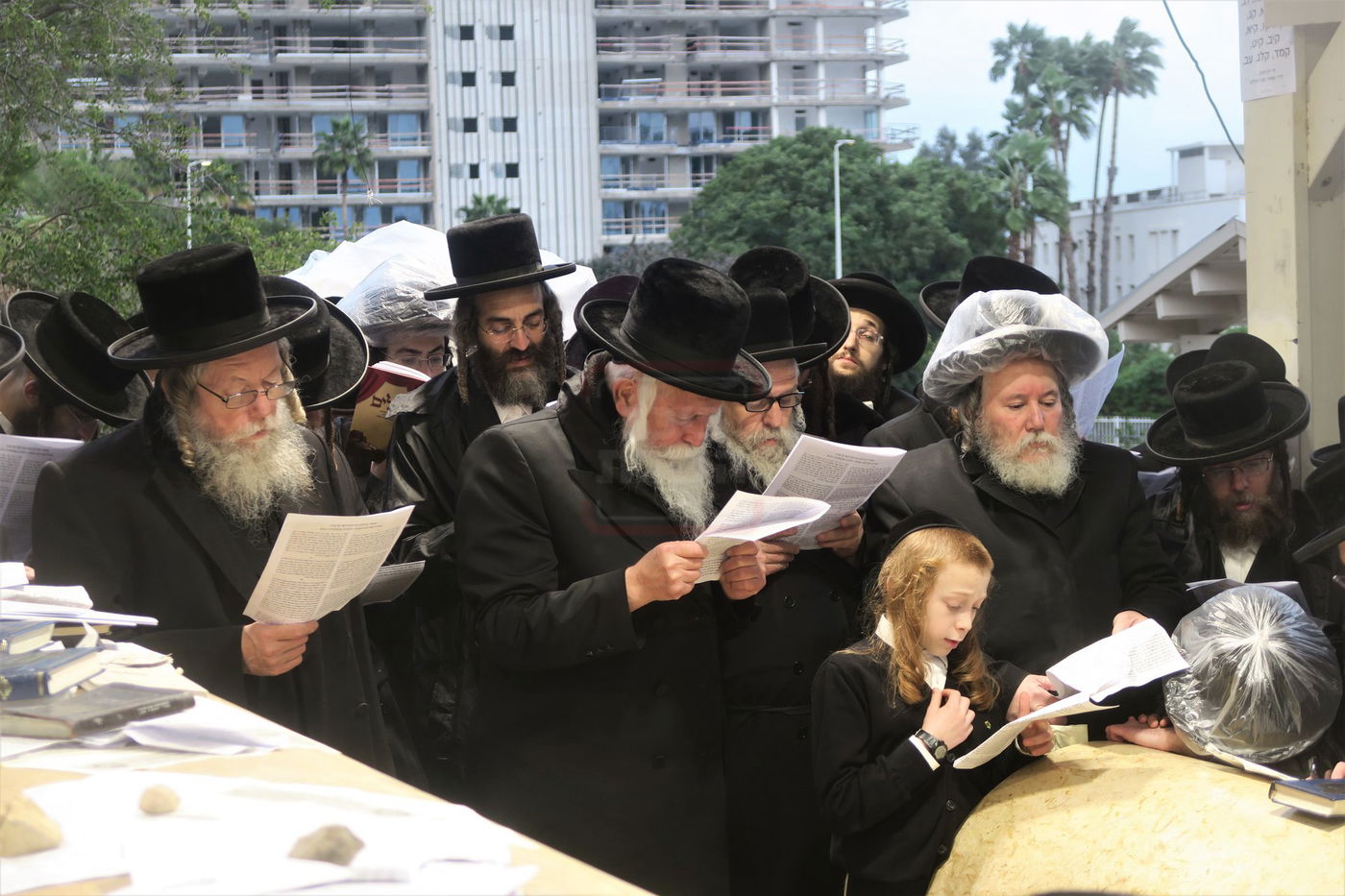 האדמו"ר מפינסק קרלין בטבריה