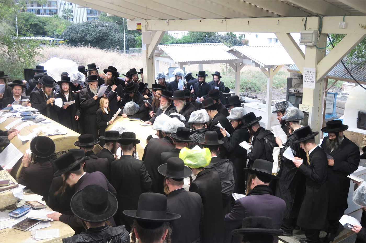 האדמו"ר מפינסק קרלין בטבריה