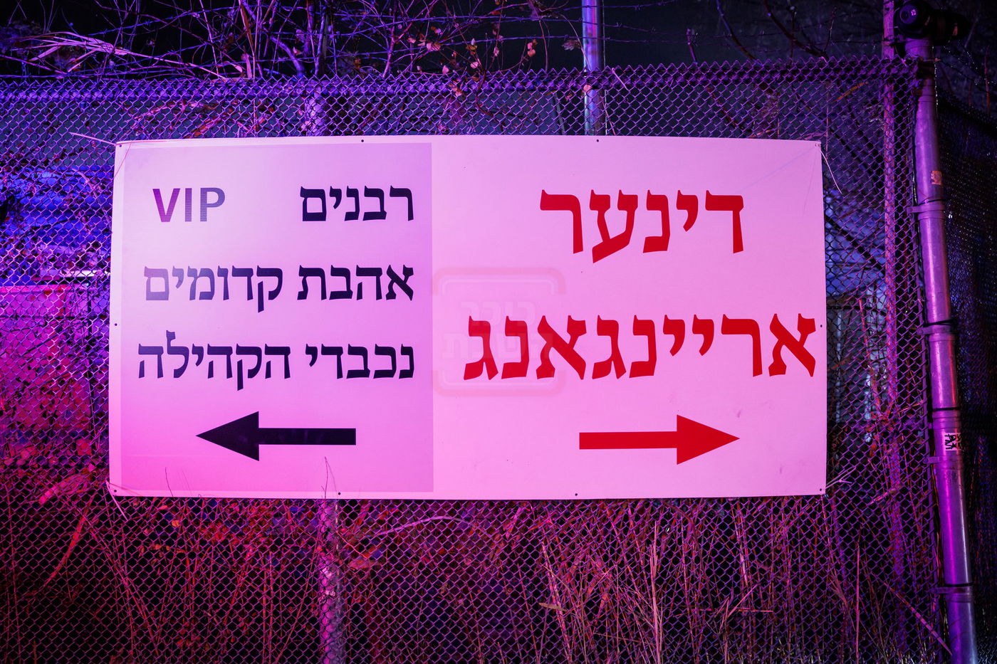 כ"א כסלו בחצה"ק סאטמר