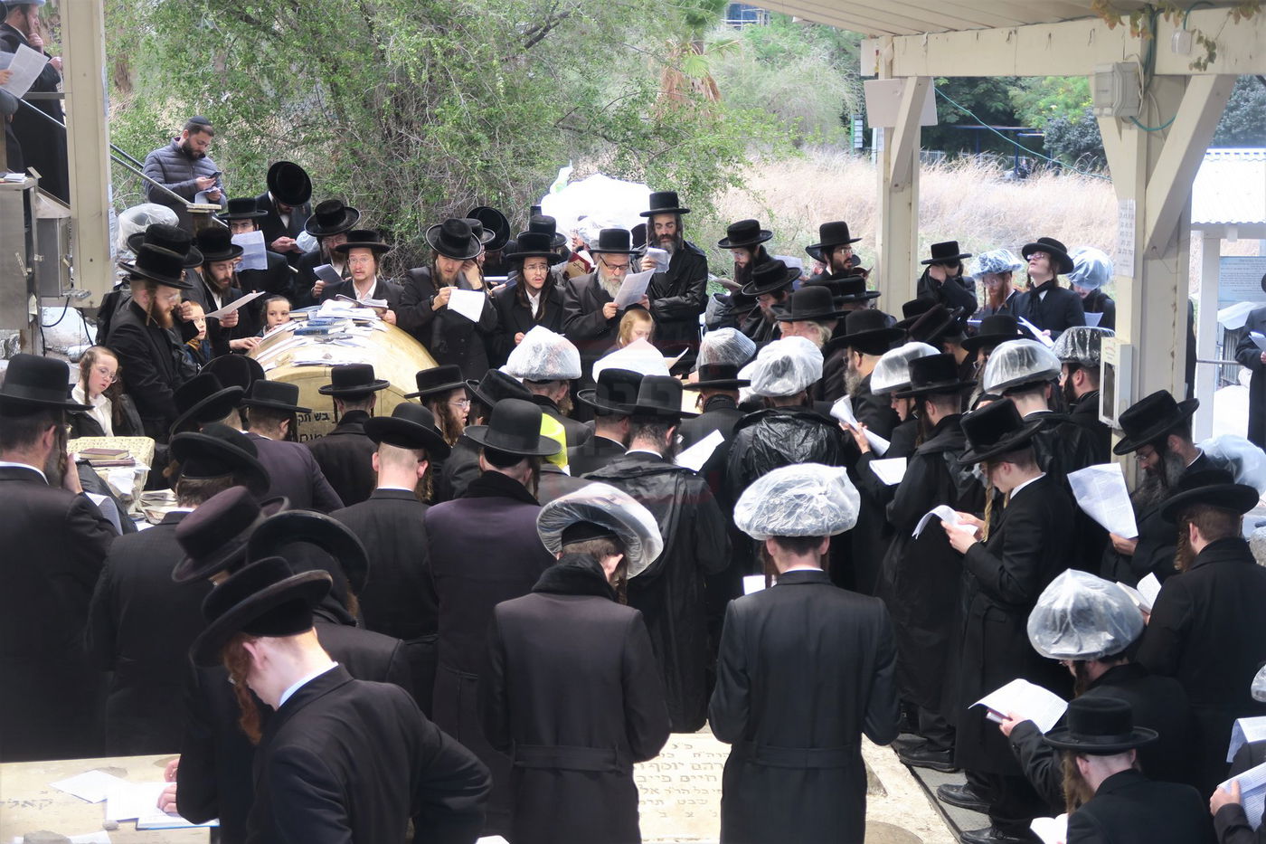 האדמו"ר מפינסק קרלין בטבריה