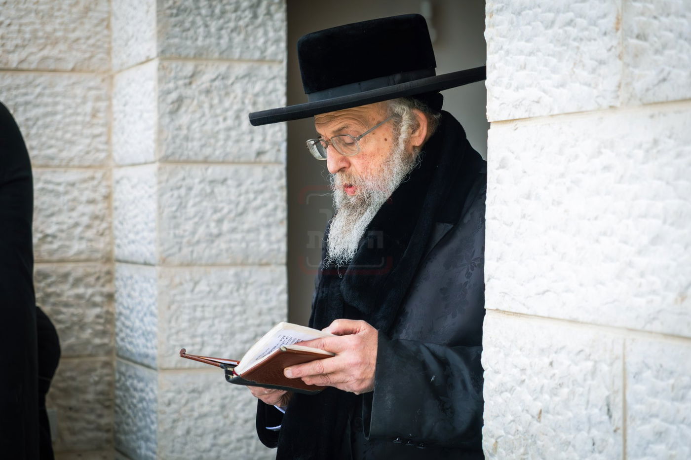 האדמו"ר מפינסק קרלין בטבריה