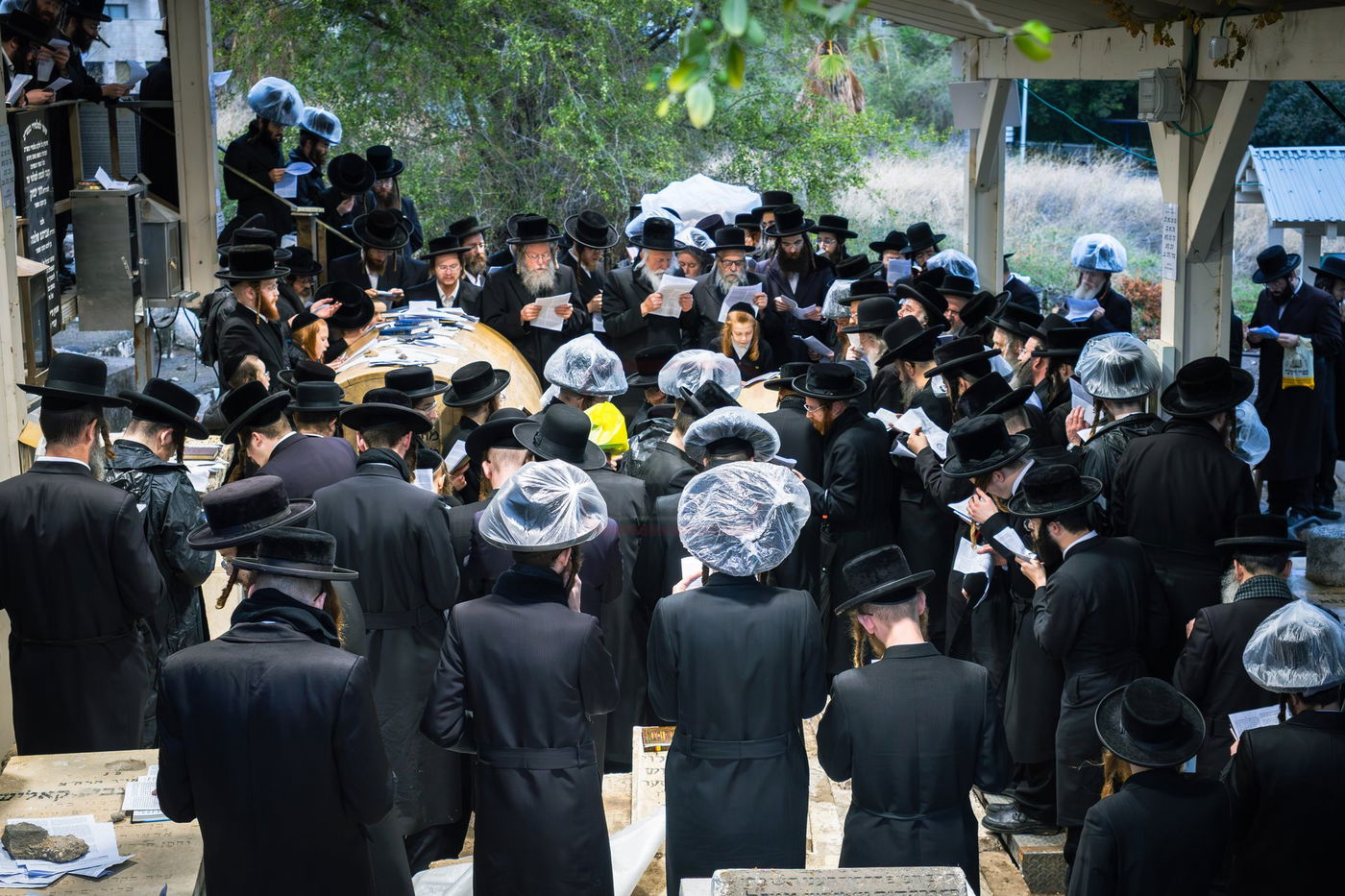 האדמו"ר מפינסק קרלין בטבריה