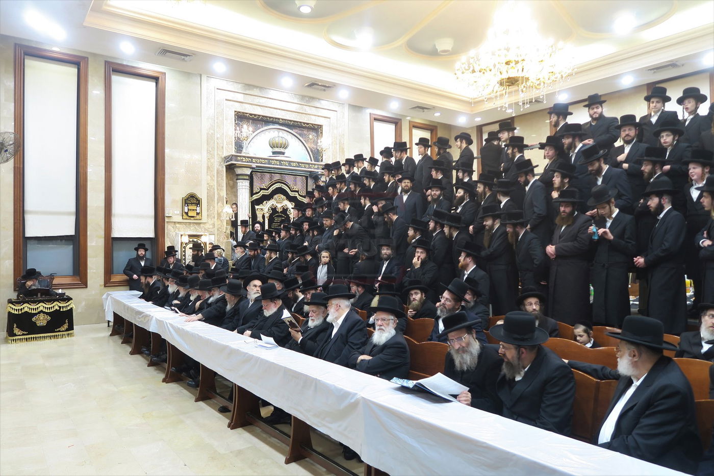 חנוכה בחצה"ק שבט הלוי