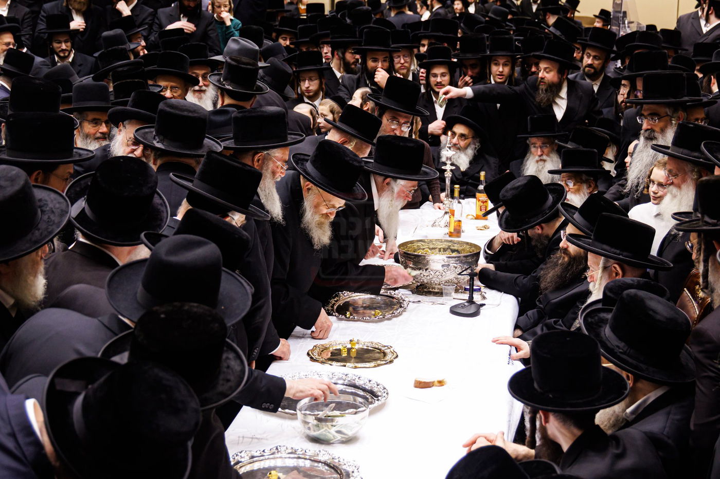 זאת חנוכה בחצה"ק באבוב