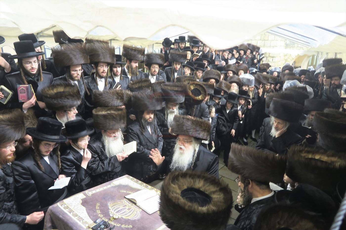 האדמו"ר מדארג באתרא קדישא מירון