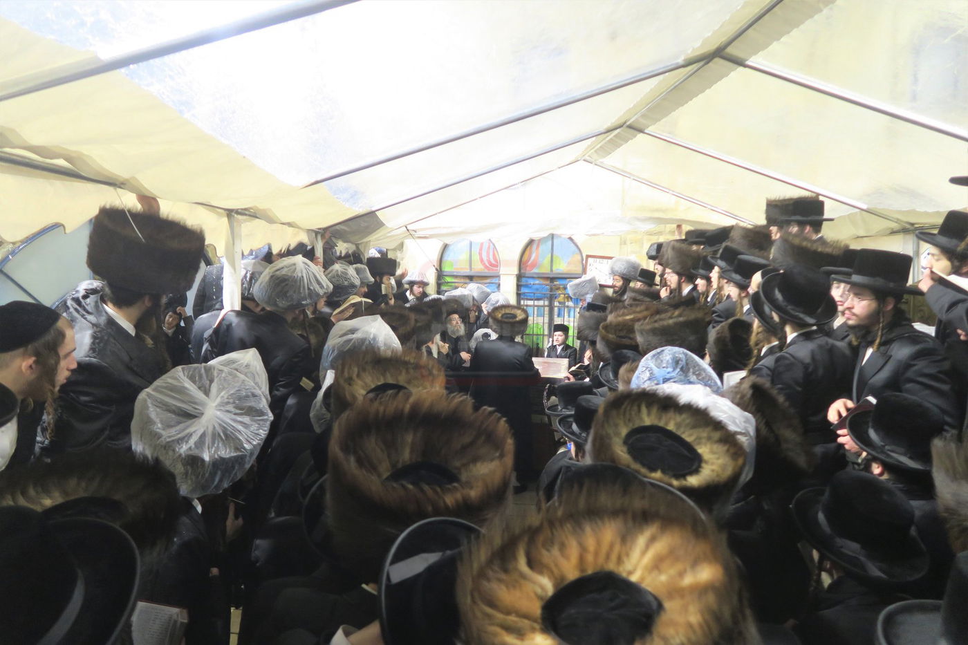 האדמו"ר מדארג באתרא קדישא מירון