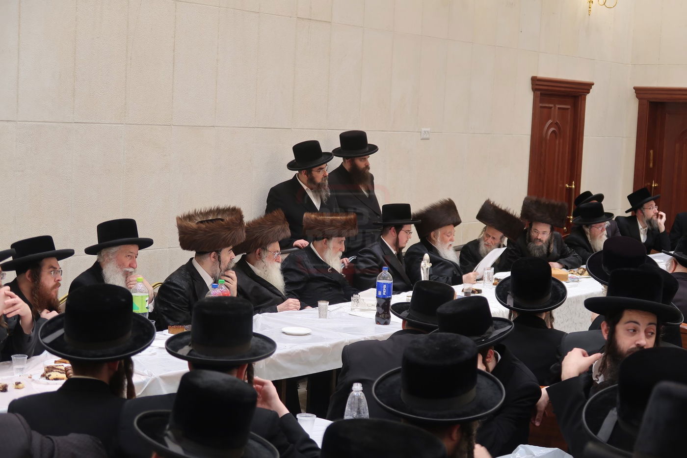 שמחת בית מכנובקא בעלזא - ראצפערט - האלמין