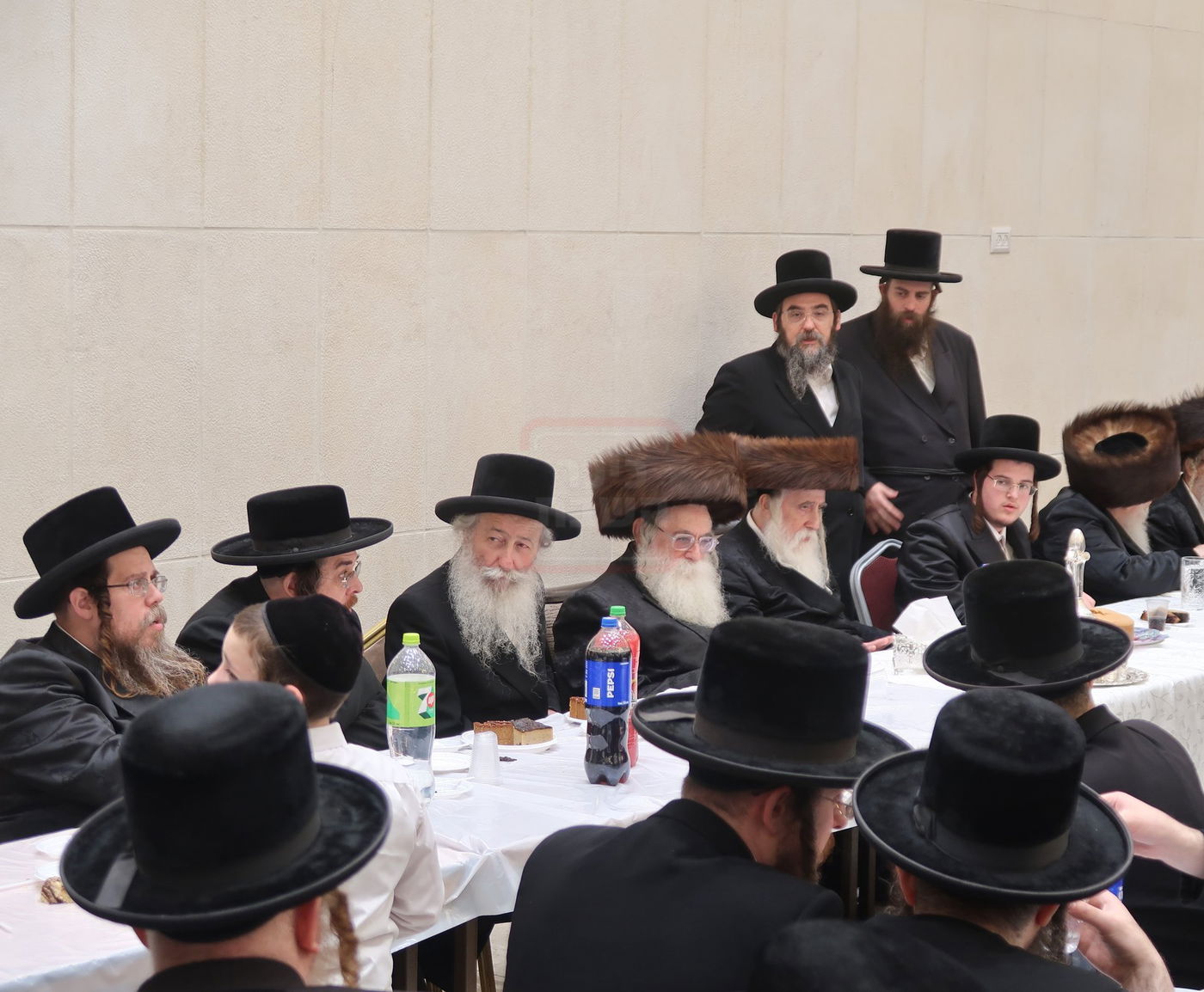 שמחת בית מכנובקא בעלזא - ראצפערט - האלמין