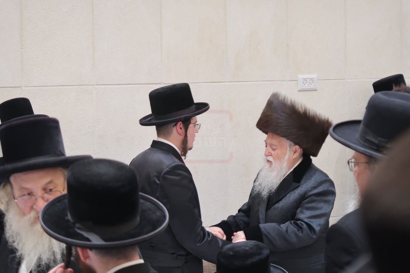 שמחת בית מכנובקא בעלזא - ראצפערט - האלמין