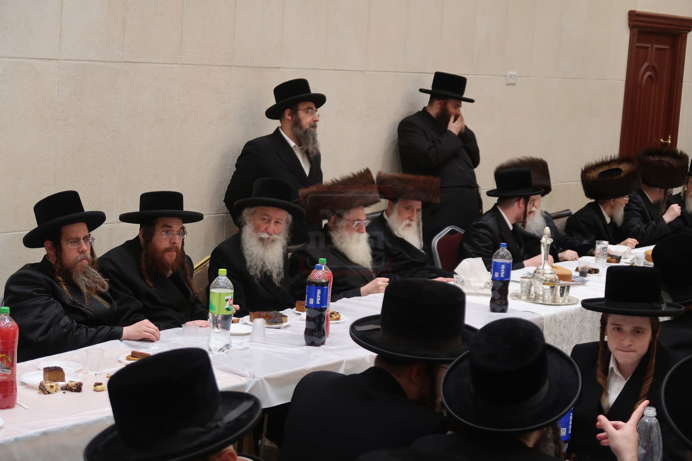 שמחת בית מכנובקא בעלזא - ראצפערט - האלמין