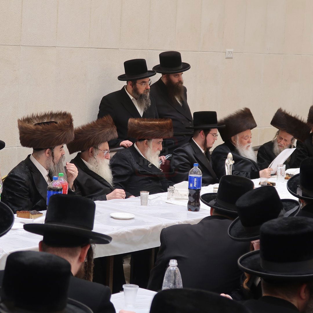 שמחת בית מכנובקא בעלזא - ראצפערט - האלמין