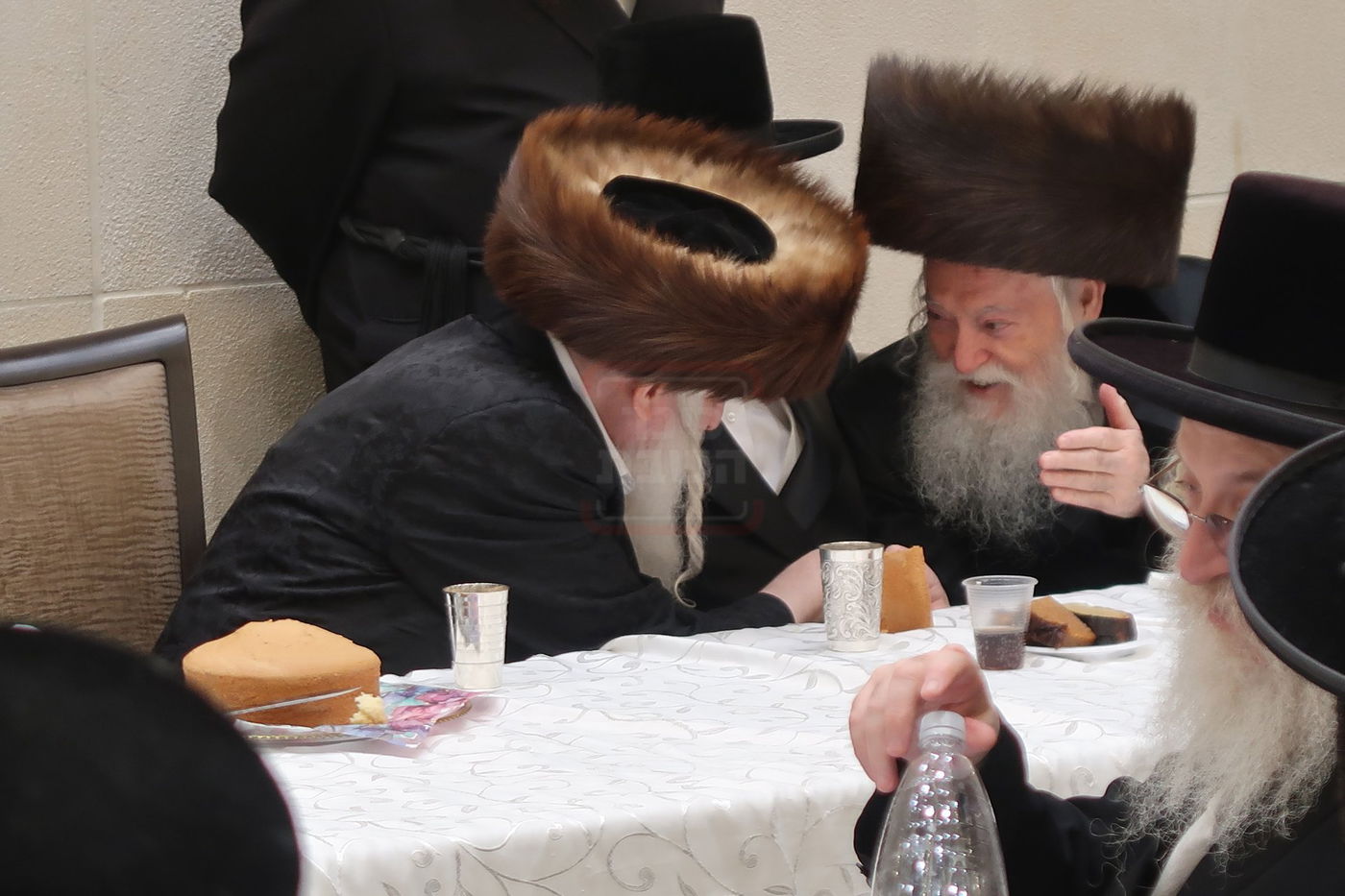 שמחת בית מכנובקא בעלזא - ראצפערט - האלמין