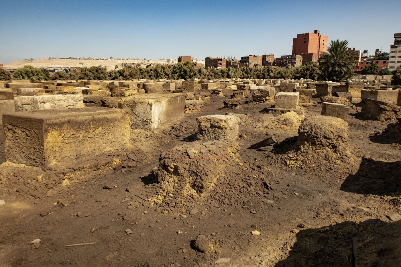 המסע למצרים בעקבות קברי היהודים