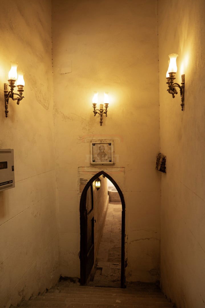 המסע למצרים בעקבות קברי היהודים