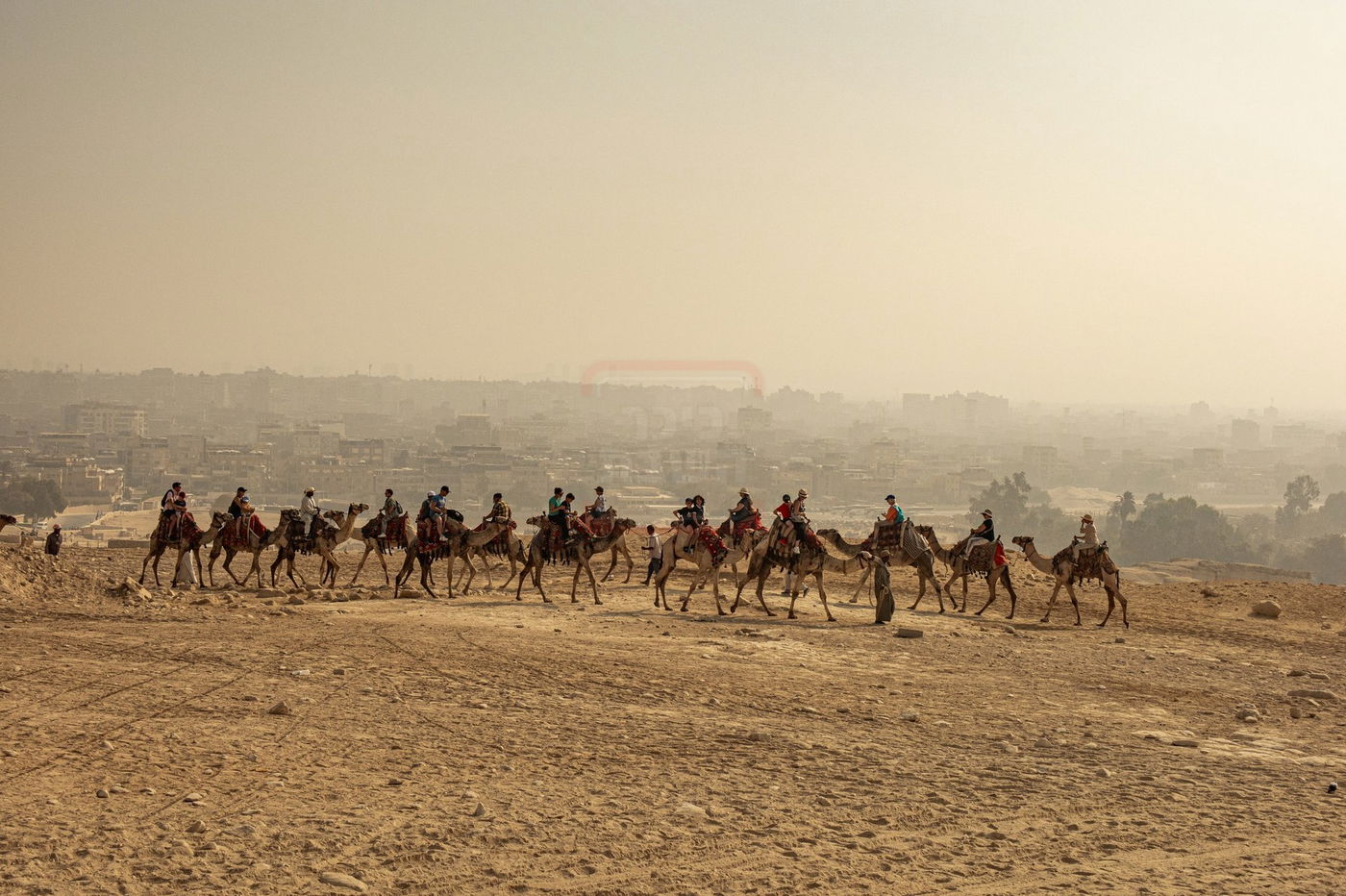 המסע למצרים בעקבות קברי היהודים