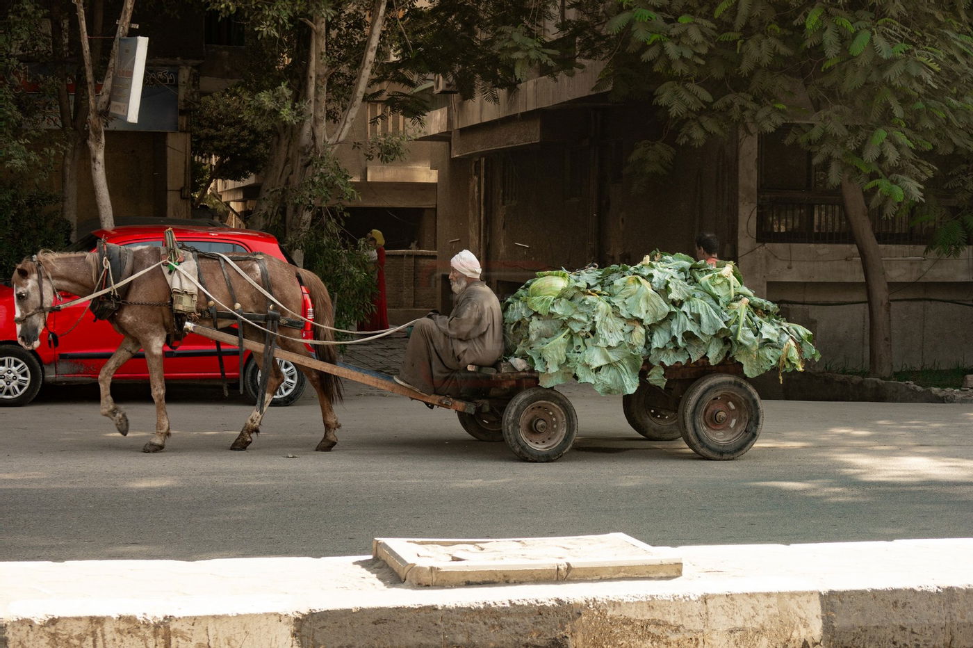 המסע למצרים בעקבות קברי היהודים