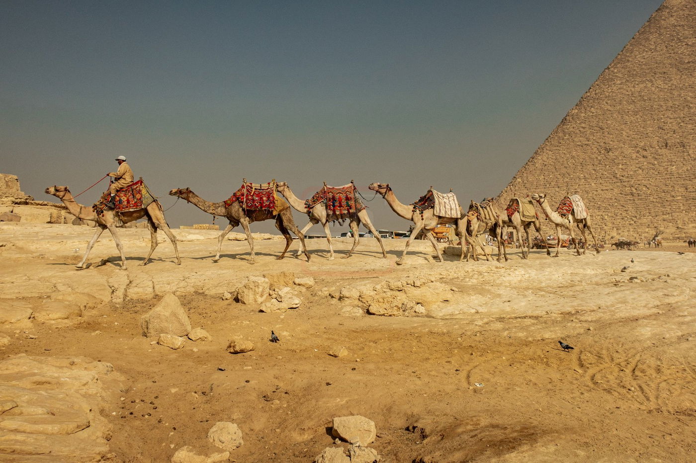 המסע למצרים בעקבות קברי היהודים