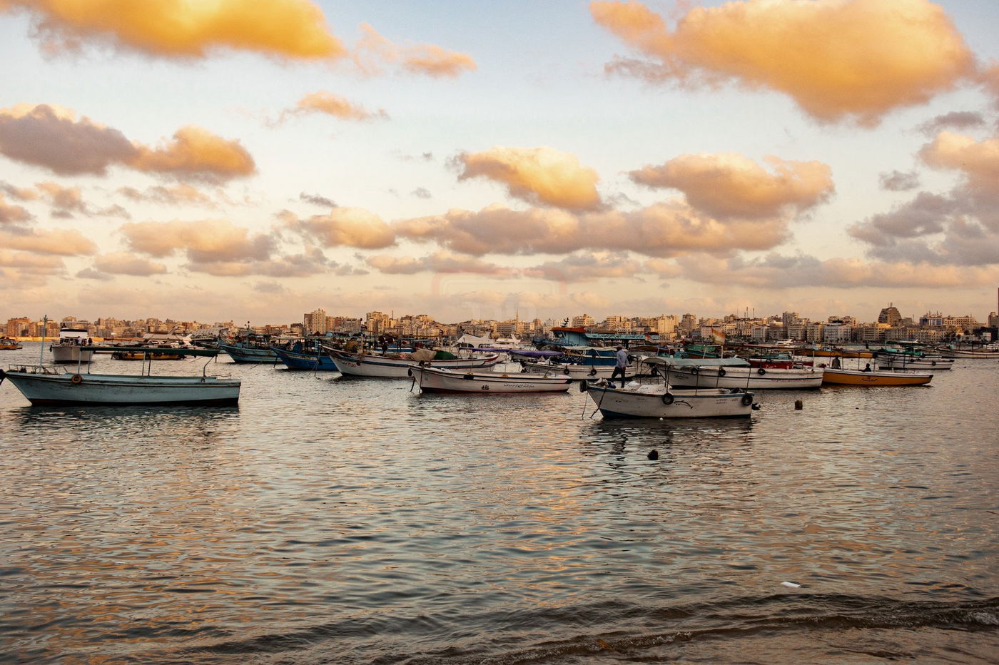 המסע למצרים בעקבות קברי היהודים