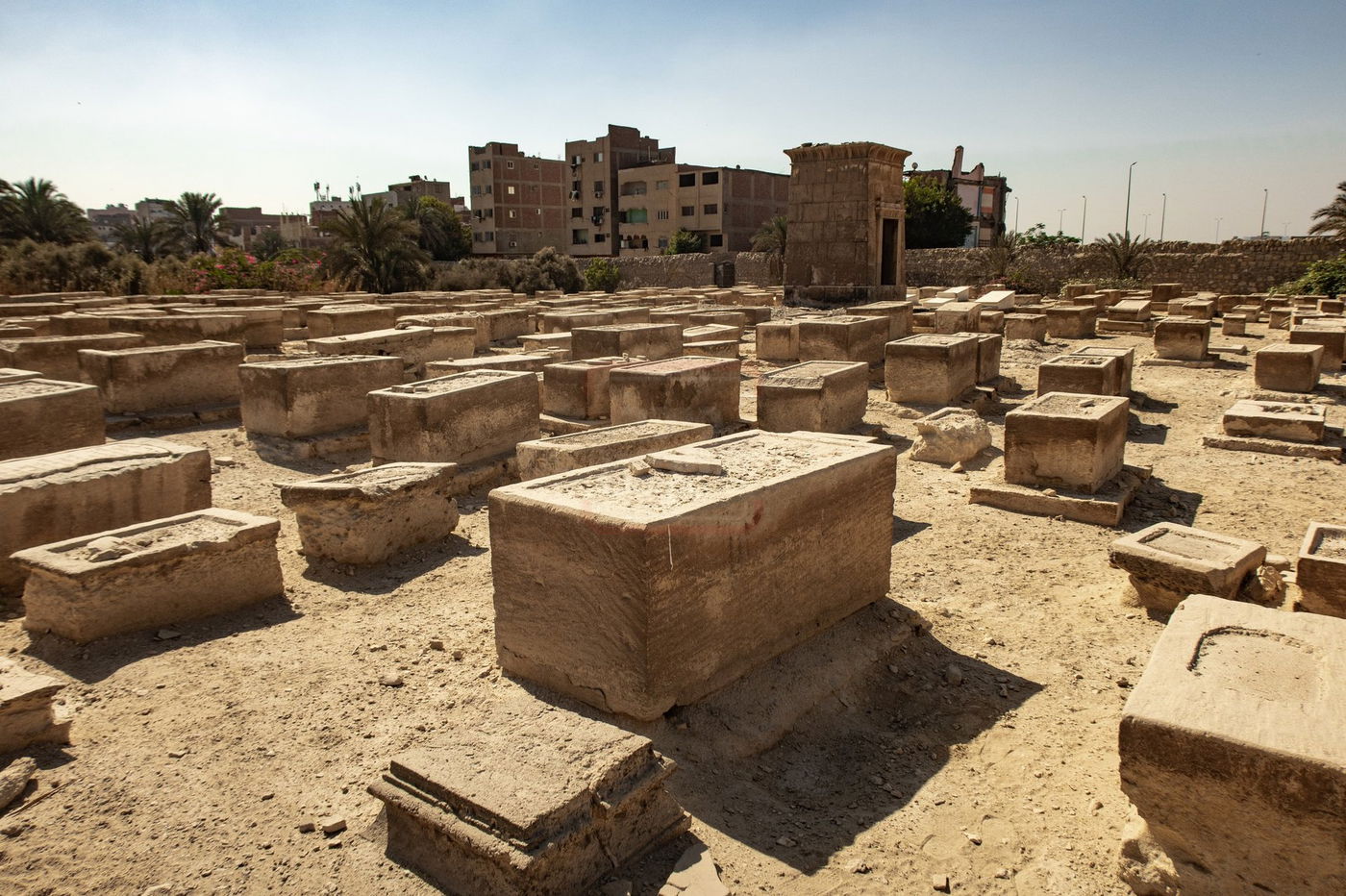 המסע למצרים בעקבות קברי היהודים