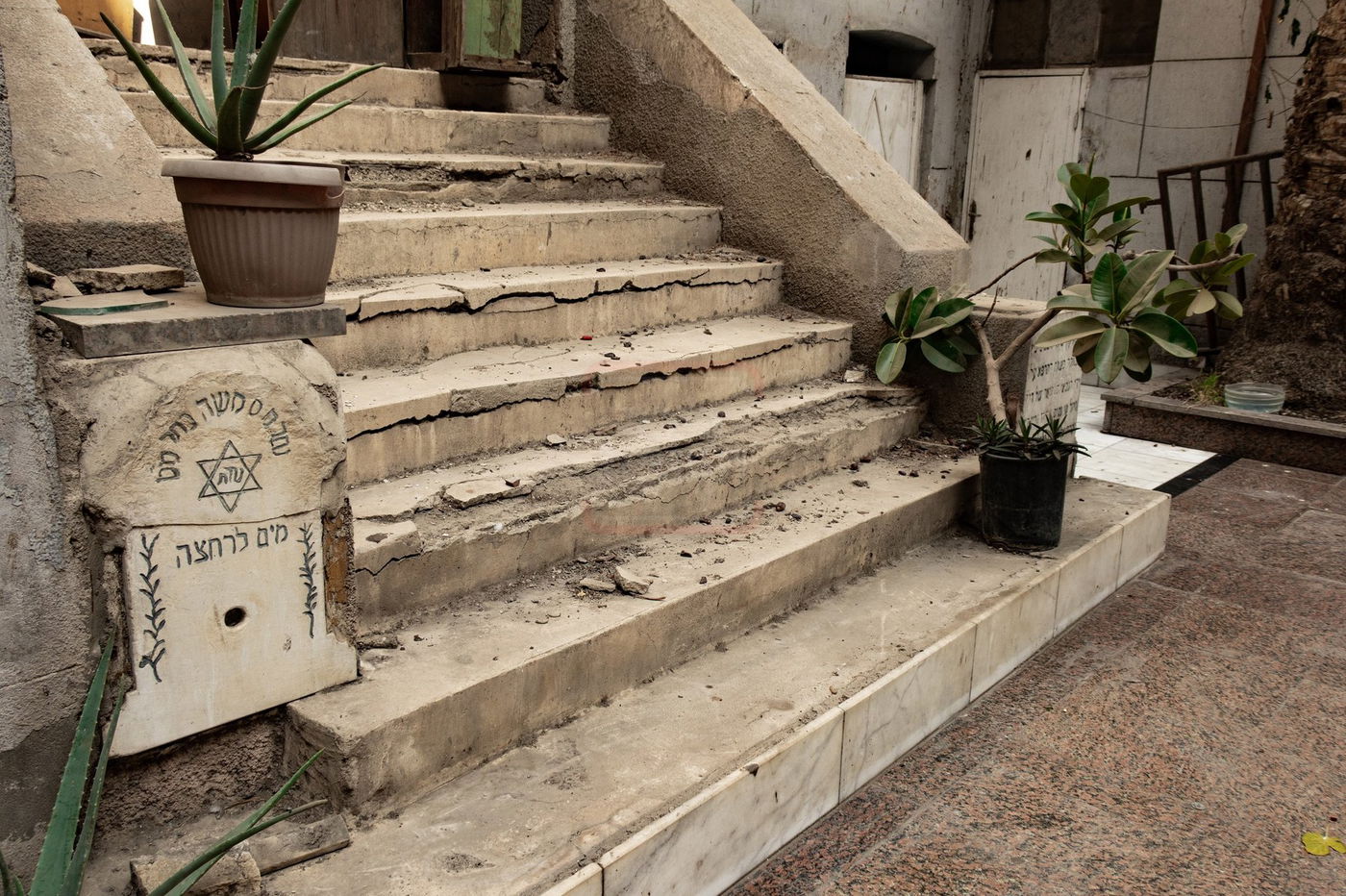 המסע למצרים בעקבות קברי היהודים