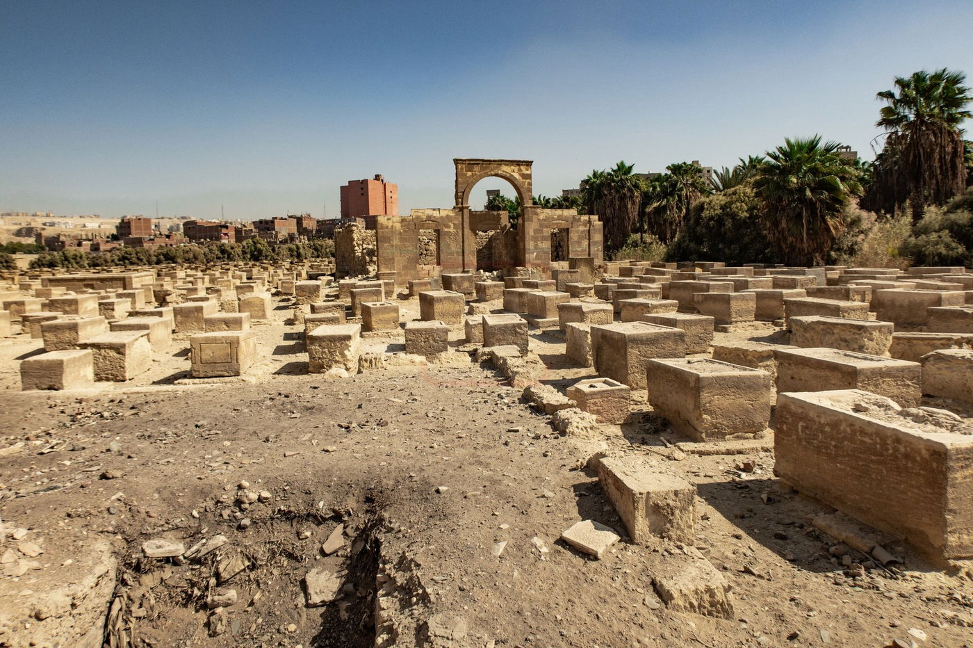 המסע למצרים בעקבות קברי היהודים
