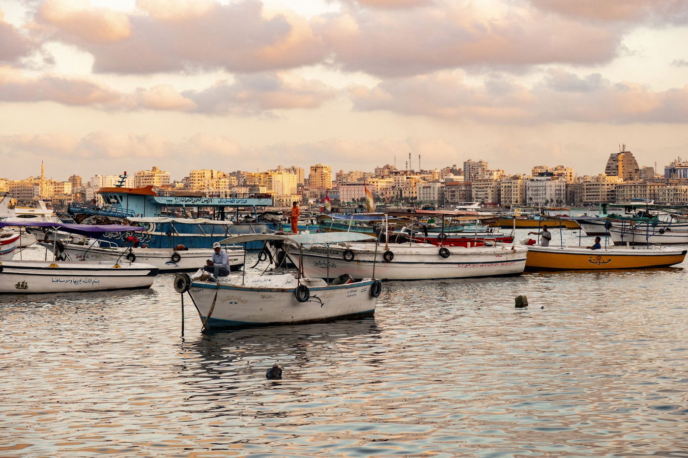 המסע למצרים בעקבות קברי היהודים