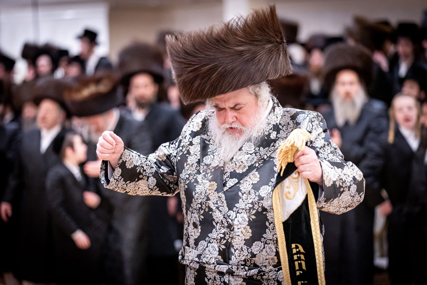 שמחת בית קרית צאנז ירושלים - אודווארי - קאסוב ויזניץ