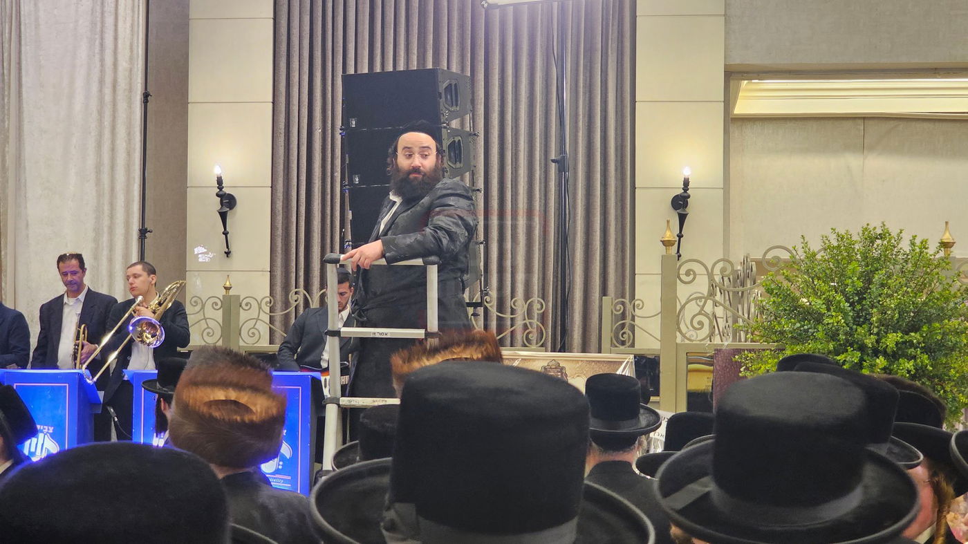 שטיין על הסולם