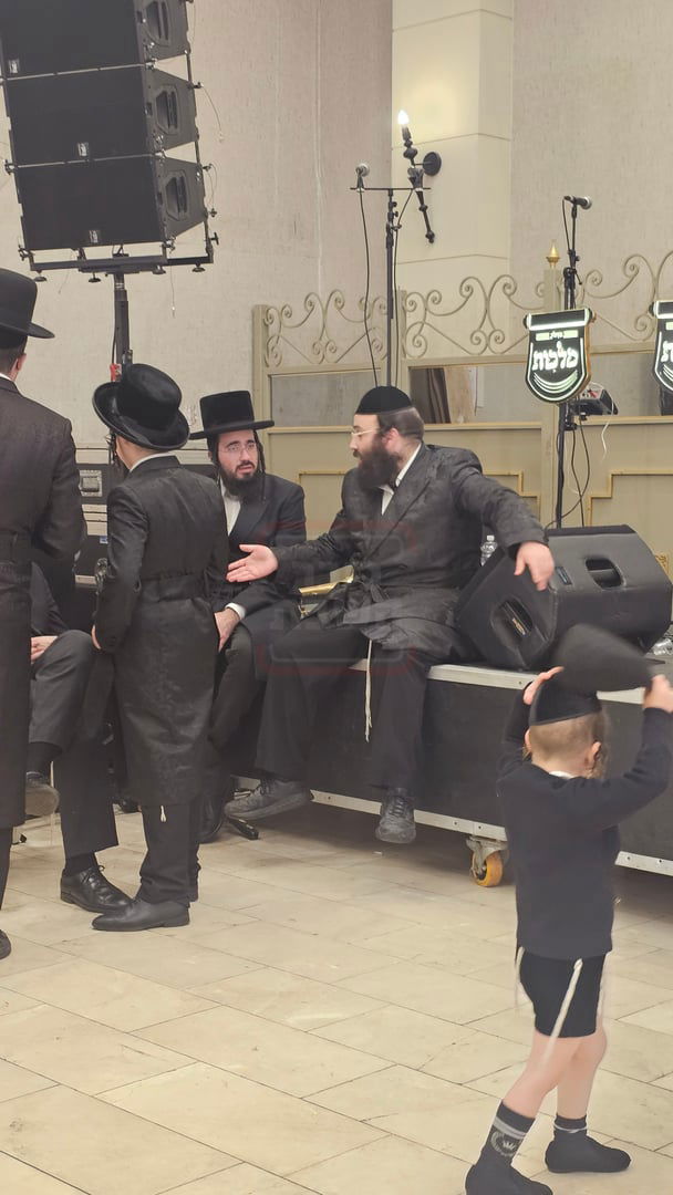 שטיין עם מקהלת מלכות