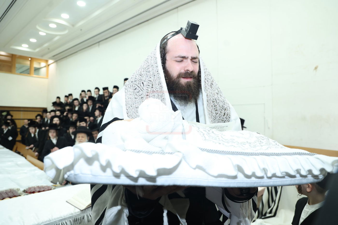 שמחת הברית לנין האדמו"ר מערלוי