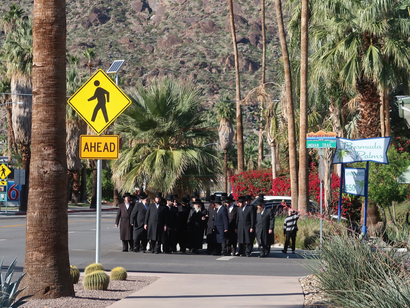 האדמו"ר מסאטמר במנוחה בפאלם ספרינגס 