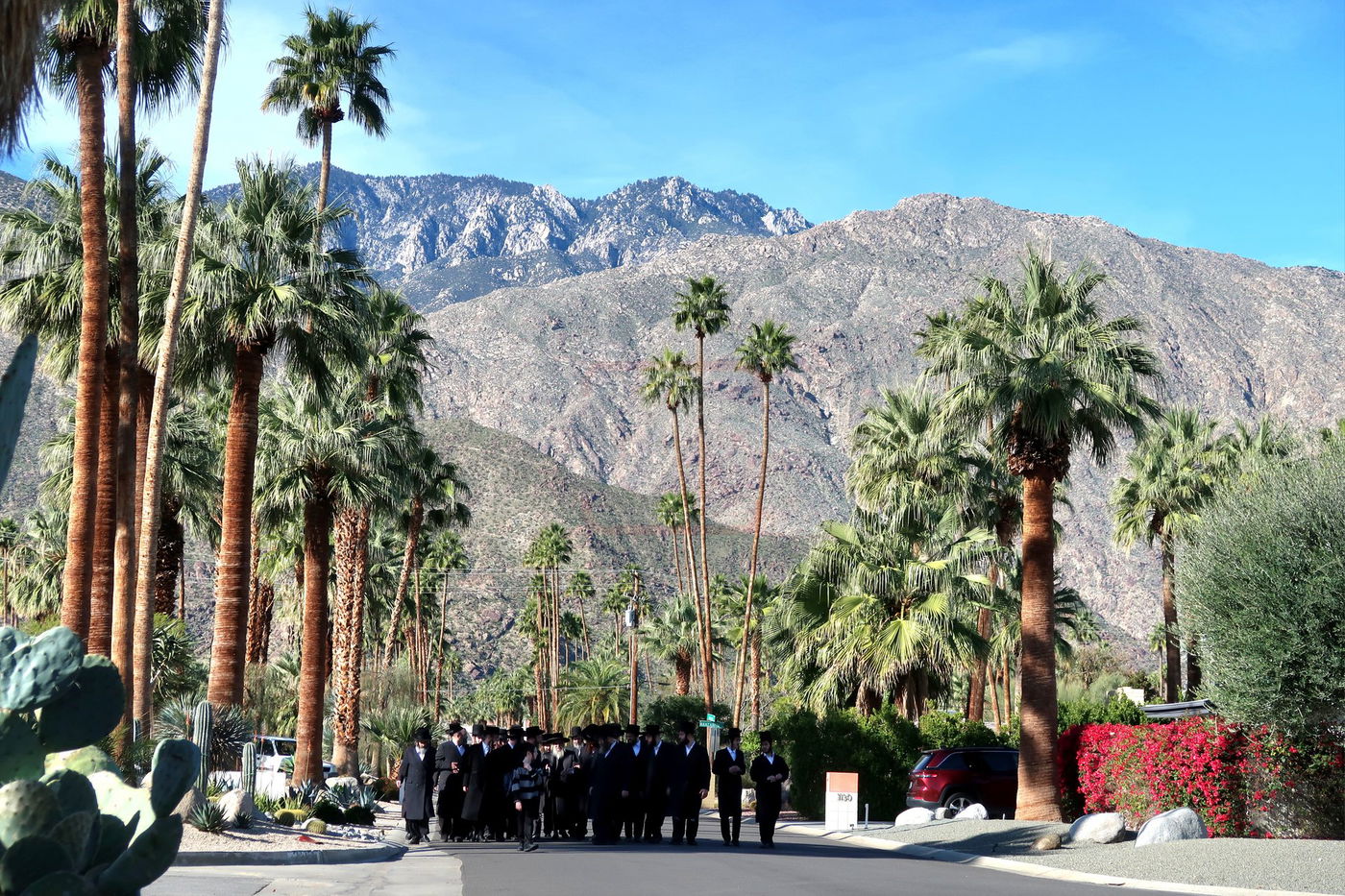 האדמו"ר מסאטמר במנוחה בפאלם ספרינגס 