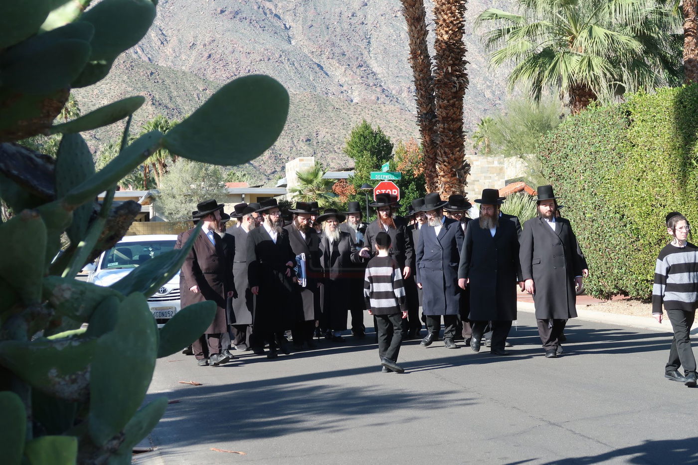 האדמו"ר מסאטמר במנוחה בפאלם ספרינגס 