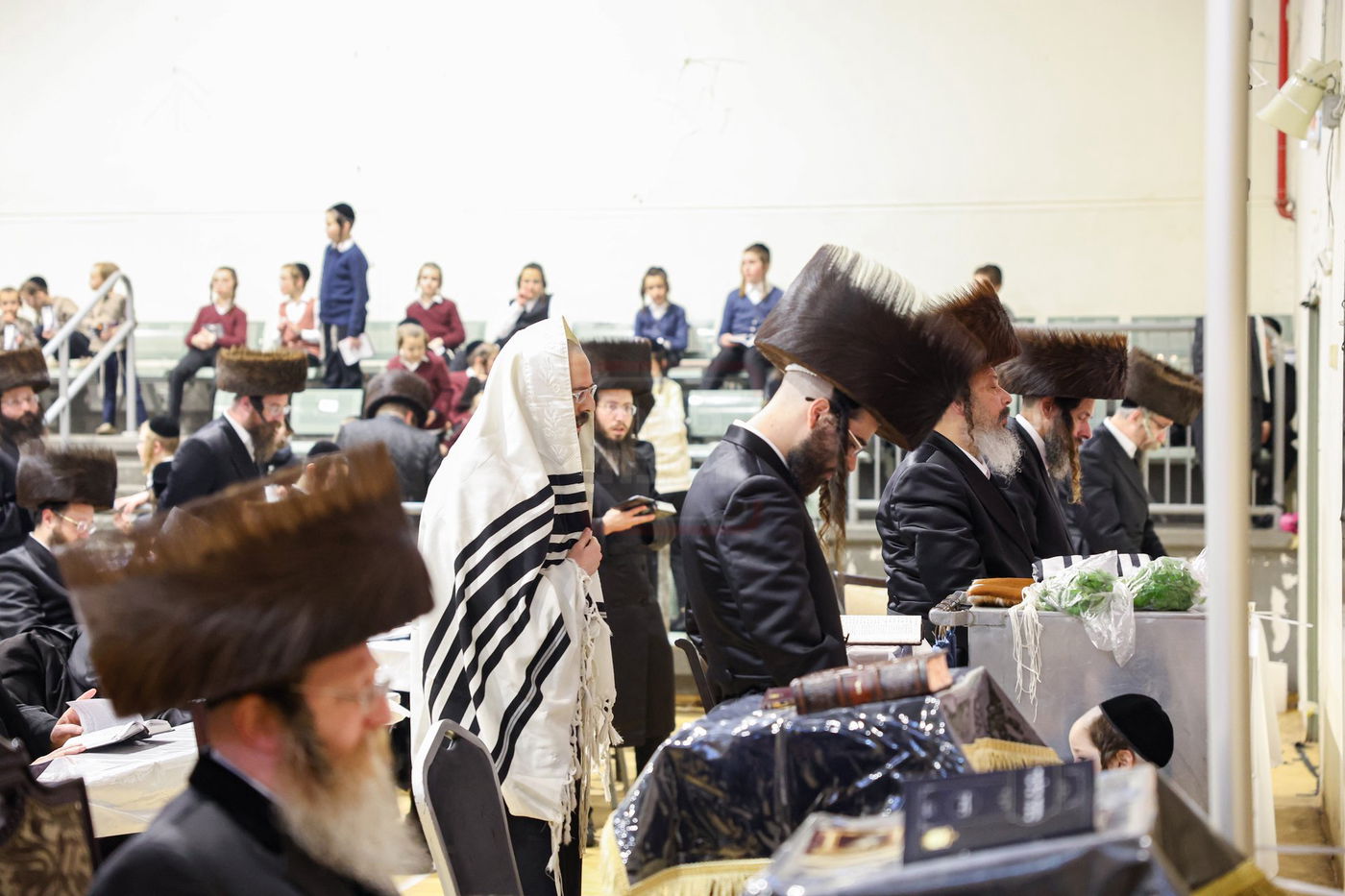 שבת אופריף בחצה"ק זוועהיל