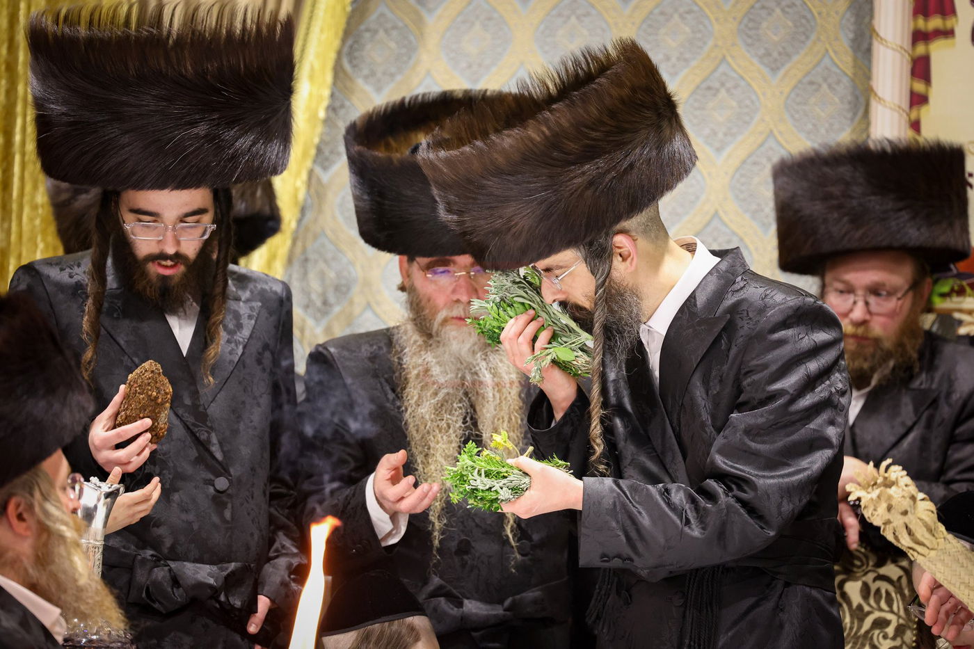 שבת אופריף בחצה"ק זוועהיל