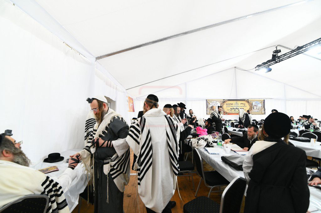 הילולא קדישא בלעלוב