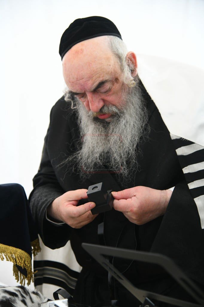 הילולא קדישא בלעלוב