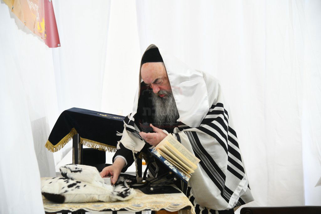 הילולא קדישא בלעלוב