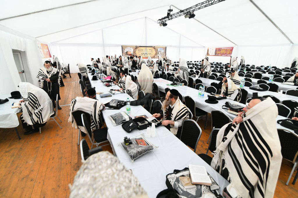 הילולא קדישא בלעלוב