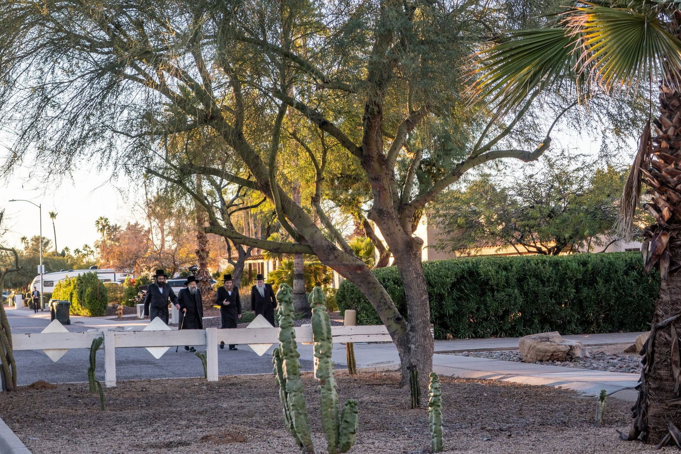 האדמו"ר מבאבוב 45 במנוחה בעיר סקוטסדייל שבאריזונה 