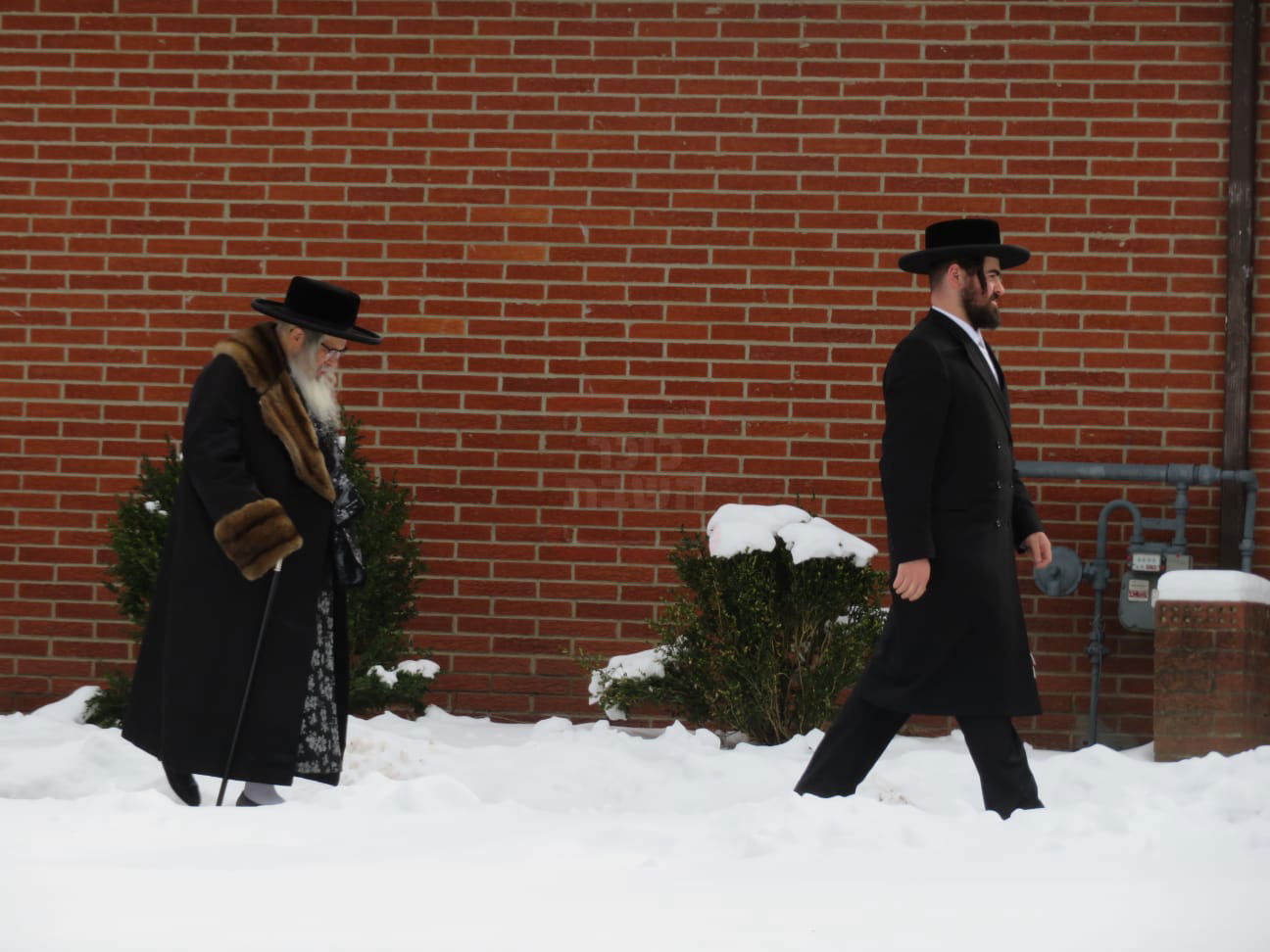 הלוק החסידי של בן הח"כית | 'זופניק בכיכר' עם כל התמונות, הנייעס והחשיפות של השבוע
