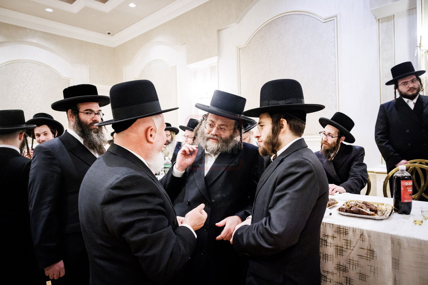 שמחת התנאים בבית סאטמאר - סיגוט - ספינקא - פאפא בארא פארק