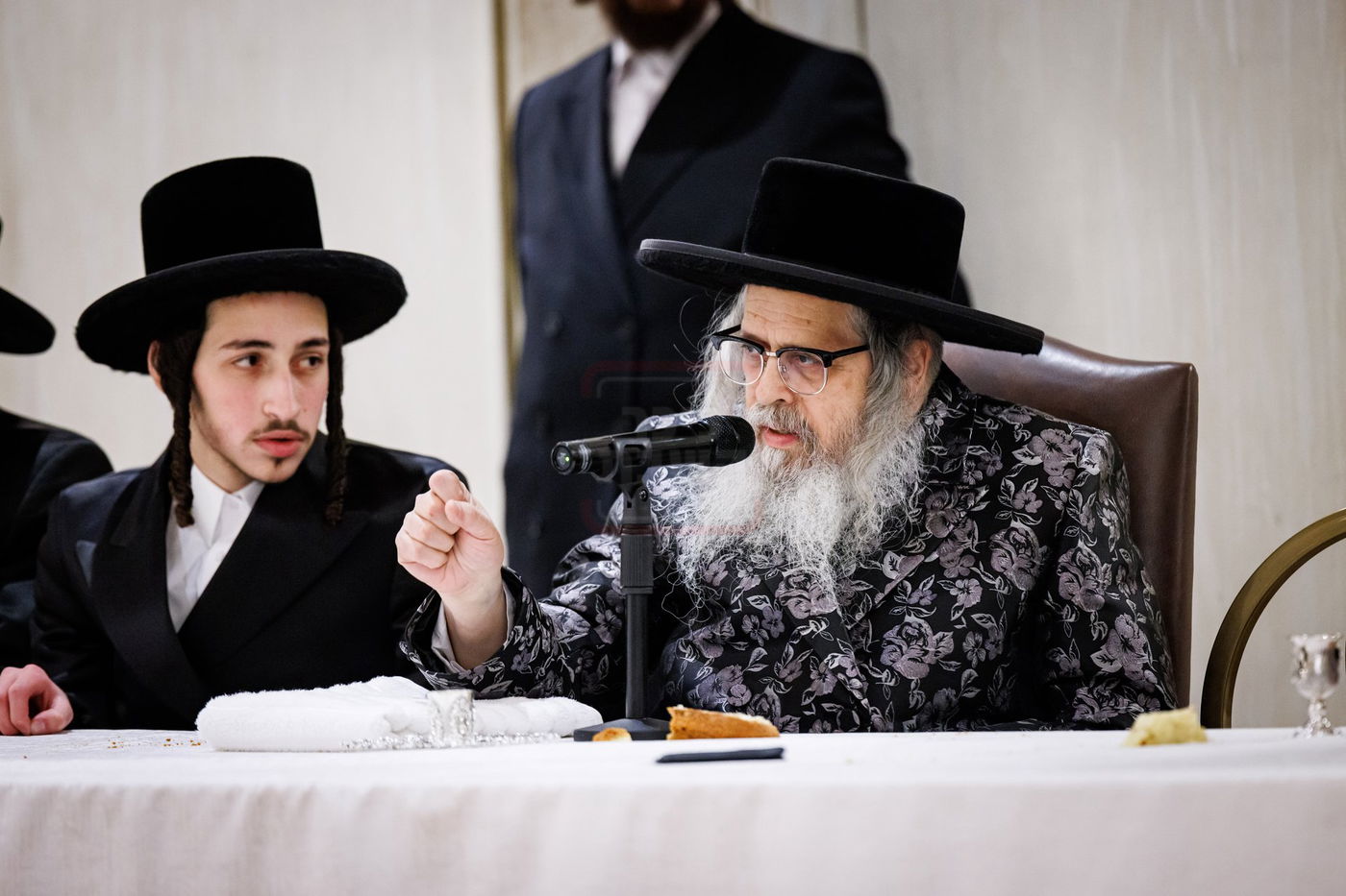 שמחת התנאים בבית סאטמאר - סיגוט - ספינקא - פאפא בארא פארק