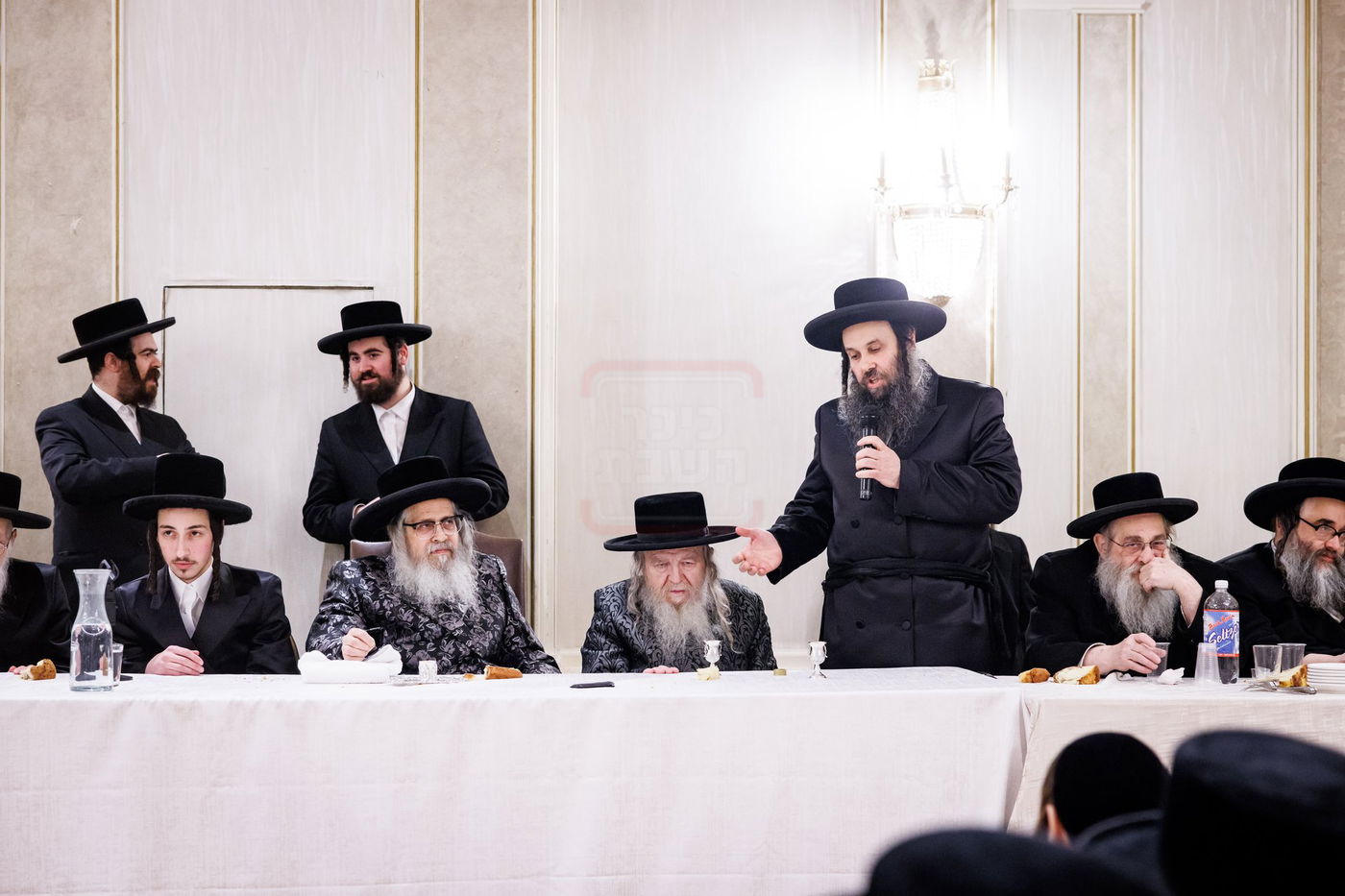 שמחת התנאים בבית סאטמאר - סיגוט - ספינקא - פאפא בארא פארק