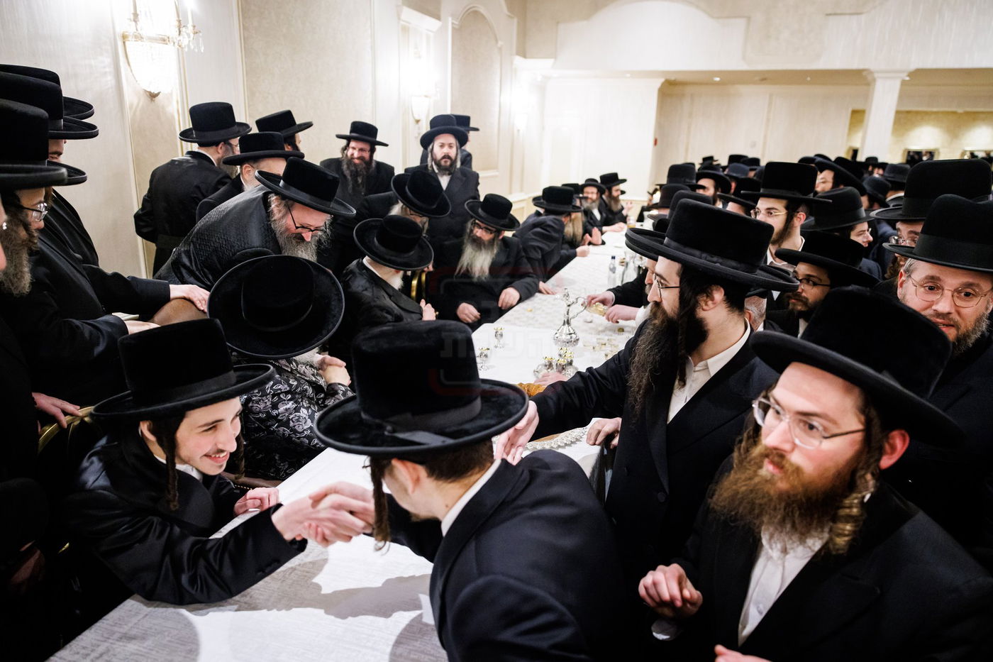 שמחת התנאים בבית סאטמאר - סיגוט - ספינקא - פאפא בארא פארק