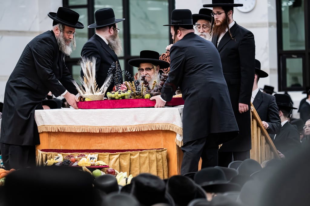 האדמו"ר מסאטמר בטיש ט"ו בשבט