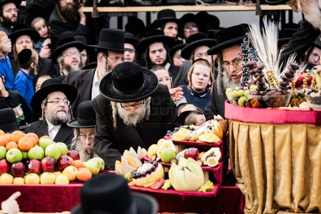 האדמו"ר מסאטמר בטיש ט"ו בשבט